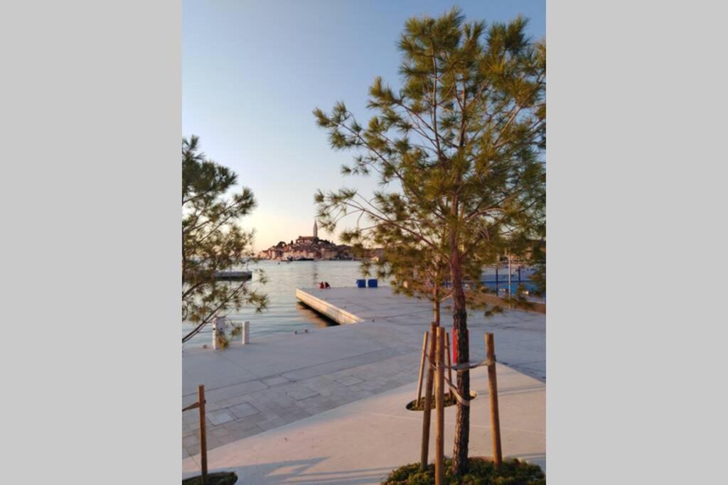 Appartement Sertic Nenad Rovinj